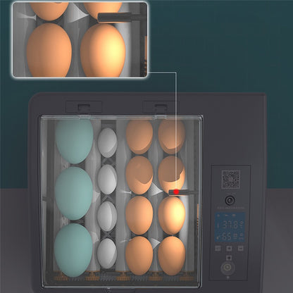 Boîte d'incubation intelligente entièrement automatique pour la maison