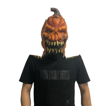 Halloween Terror Calabaza Miedo Miedo Vestir