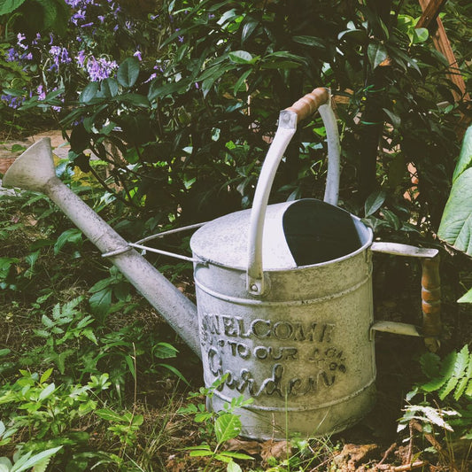 Wrought Iron Watering Can Vintage Old Garden Flower Vessel