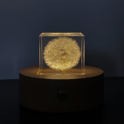 Dandelion Specimen Cube Creative Resin Tabletop Decoration