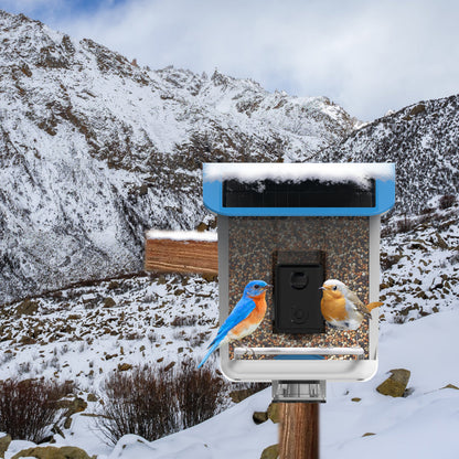 Cámara de aplicación de reconocimiento AI de comedero inteligente para pájaros