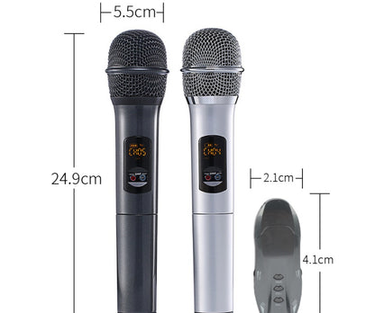 Accueil Ane pour deux microphone sans fil dynamique d'enregistrement de chansons Bluetooth K