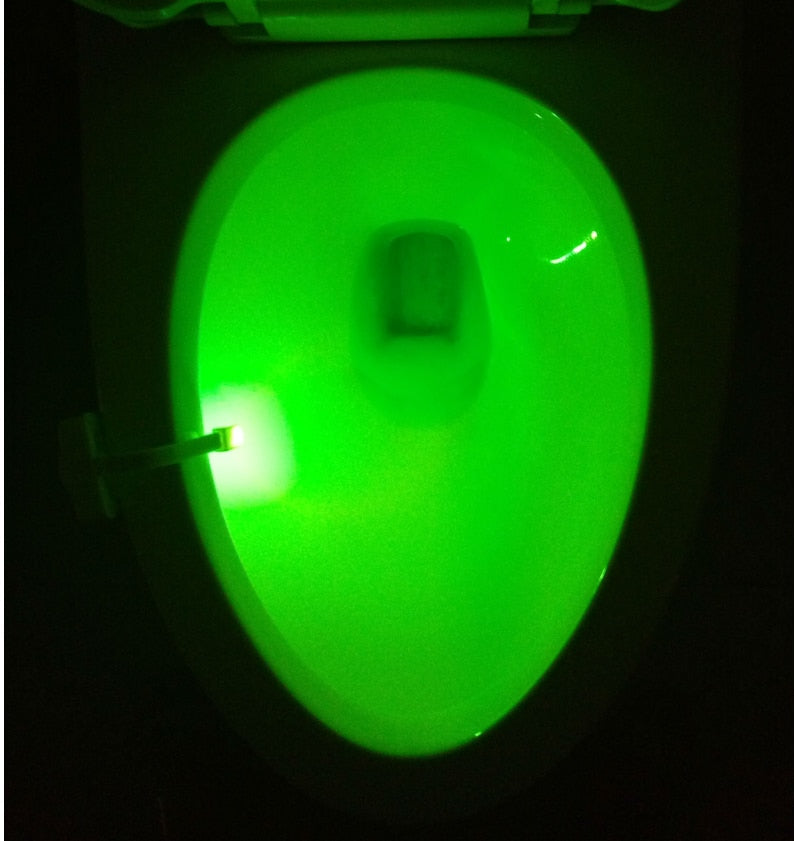 Toilet Induction LED Night Light