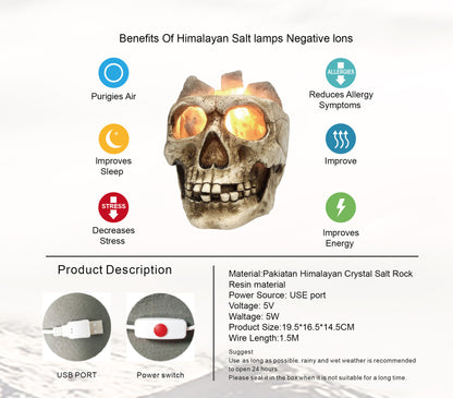 Lámpara de sal de cristal del Himalaya Pakiatan con forma de calavera, luz nocturna regulable por USB