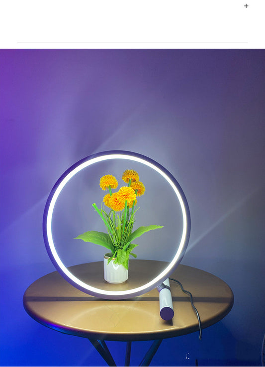 Nodic Circle Light Usb Color Changing Led Cct Rgb Minimalist Table Lamp