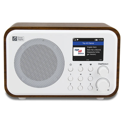 Internet Wifi RadioMini Broadcast Audio