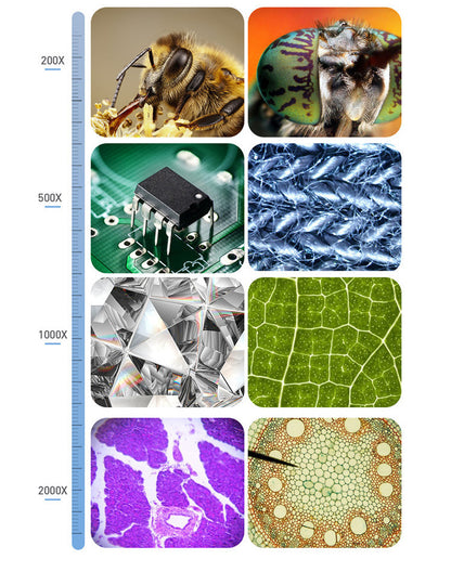 Microscope numérique HD 7 pouces