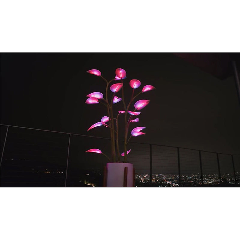 New Magic Led Indoor Plant Lamp