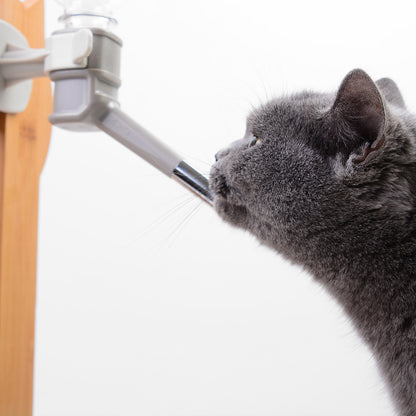 Meow Xianer – ensemble de Table à manger en bois massif, Type tiroir, boule Heqi, fontaine à boire, nourriture pour animaux de compagnie