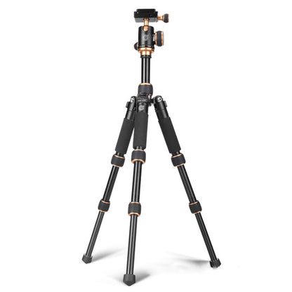 Compatible with Apple, Portable Multifunction Camera Tripod