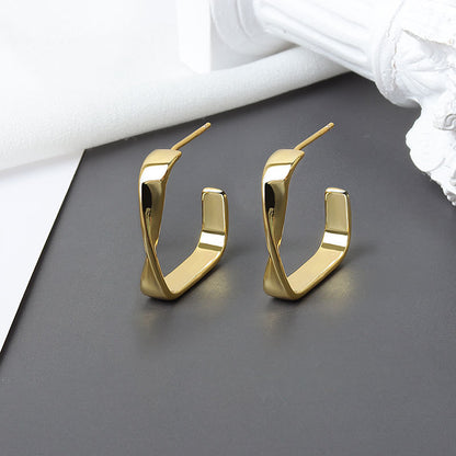 Minimalist Cold Wind Irregularly Twisted Earrings