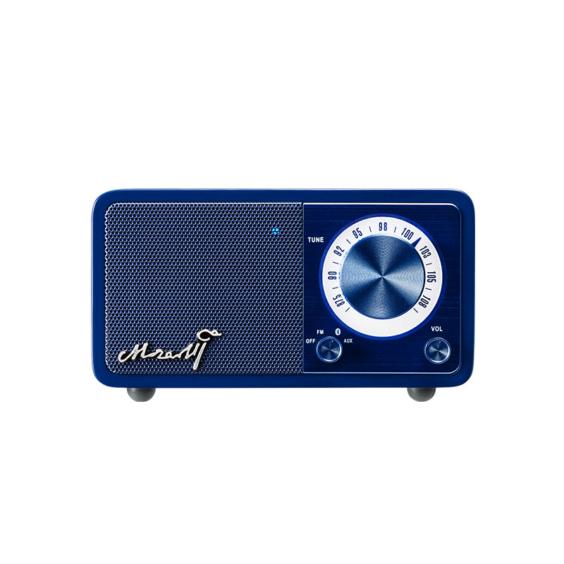 Haut-parleur portable Bluetooth