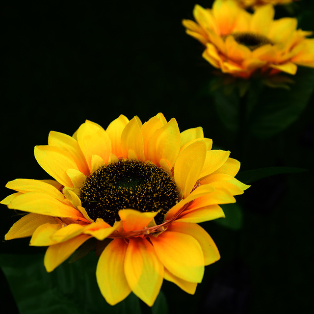 Lampes solaires à LED en forme de tournesol, lumières décoratives