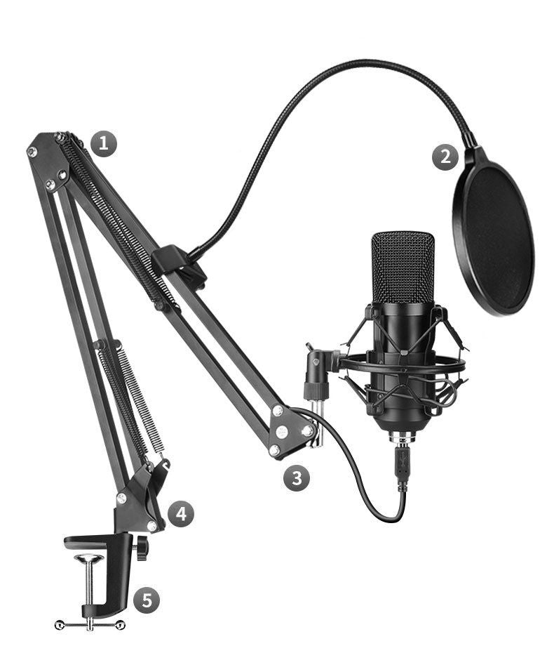 Ensemble de microphones