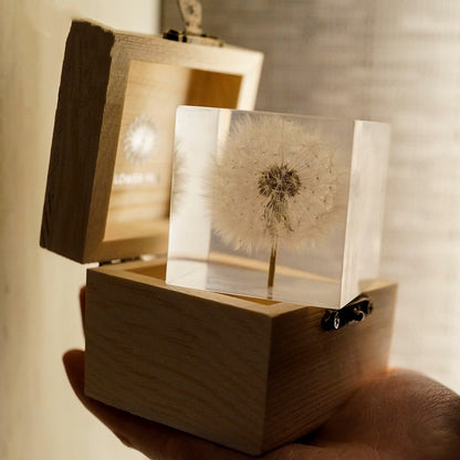 Dandelion Specimen Cube Creative Resin Tabletop Decoration