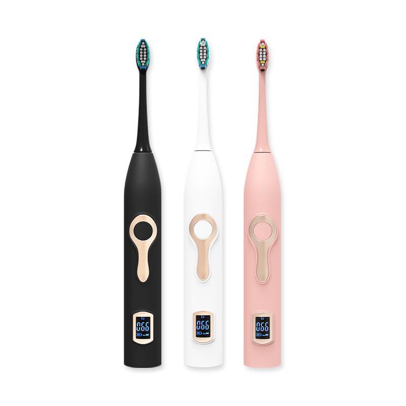 Waterproof adult rechargeable sonic electric toothbrush