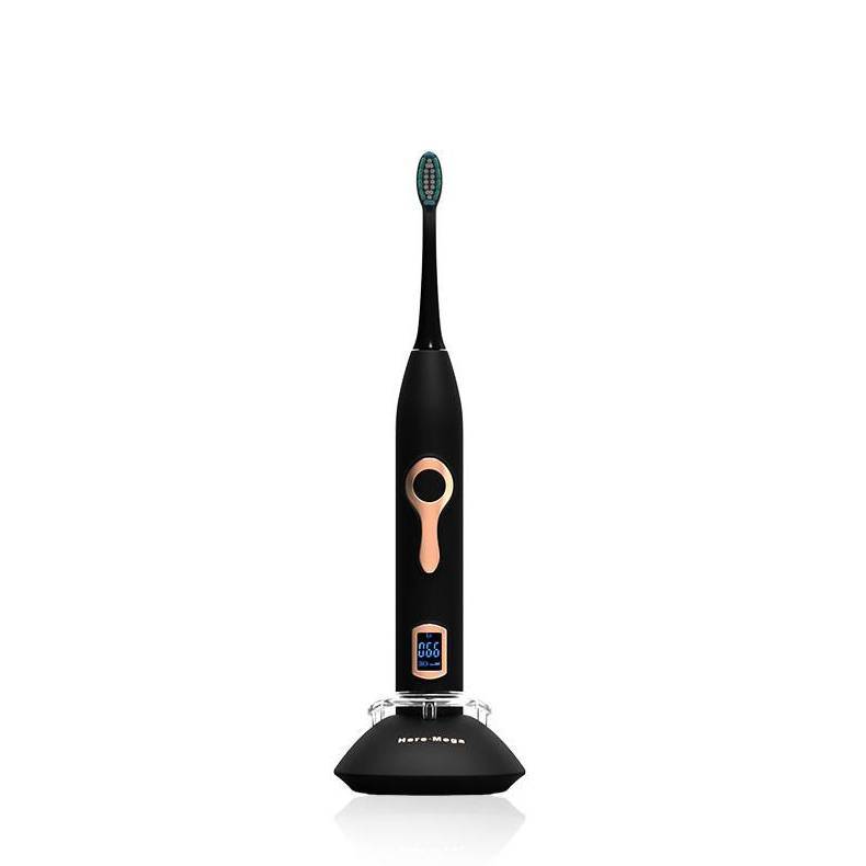 Brosse à dents électrique sonique rechargeable adulte étanche