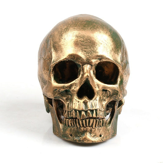 Halloween resin skull