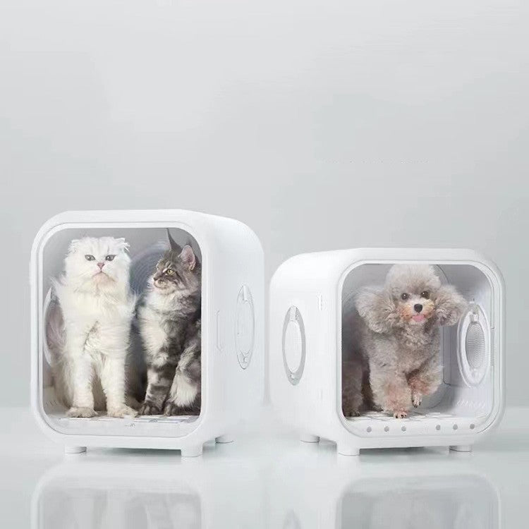 Secador de pelo para gatos completamente automático