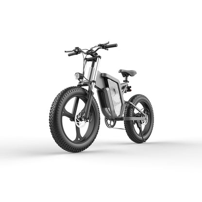 20 Inch 48V New National Standard Off-road Electric Bicycle Assistance