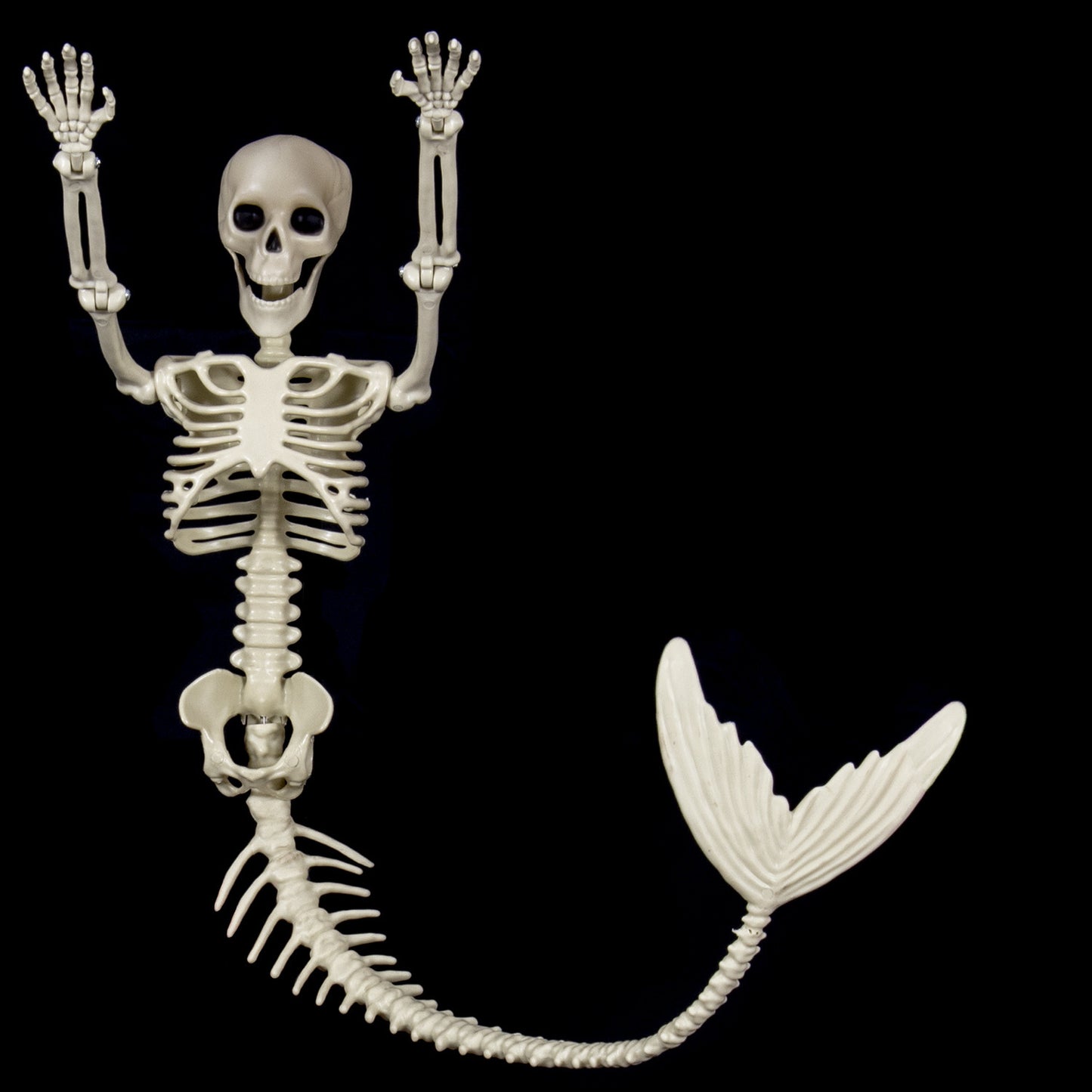 Halloween Skull Fish-skeleton Hanger Fixed Posture Simulation Chamber Props