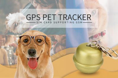 Localizador de mascotas con collar para perros GPS