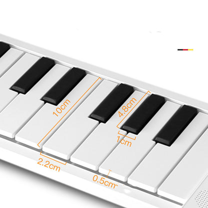 Electronic hand roll piano