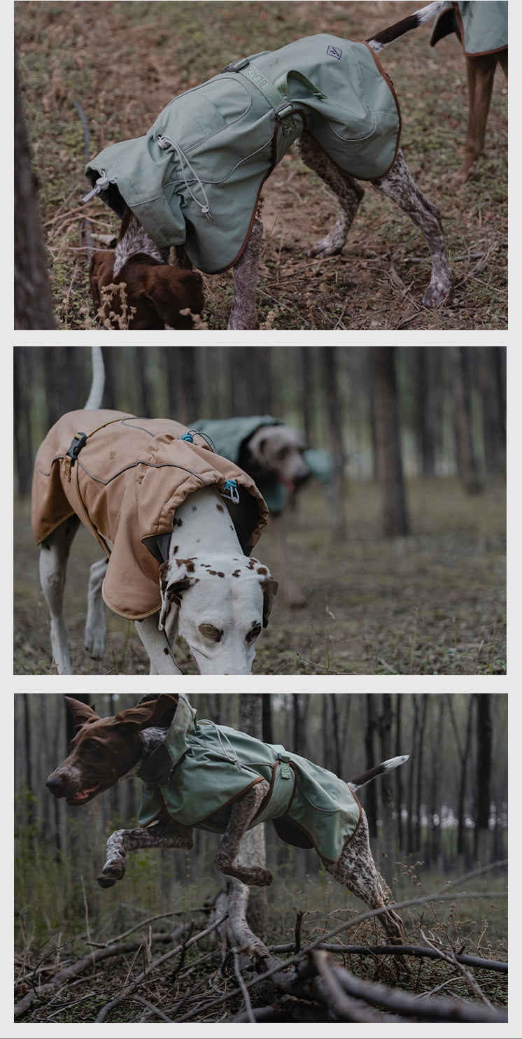 Veste d'extérieur à coque souple, imperméable, coupe-vent, chaude, pour chien