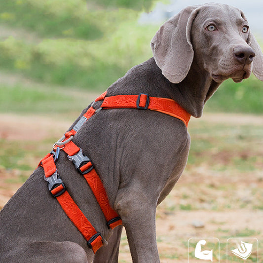 Type de gilet Corde de laisse pour chien Sangle de poitrine sortie