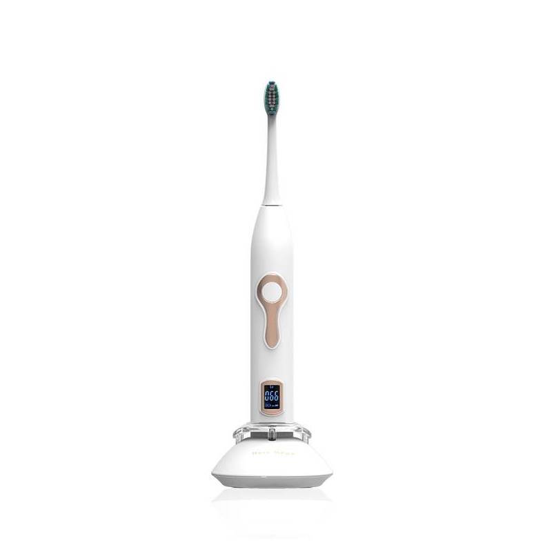 Brosse à dents électrique sonique rechargeable adulte étanche