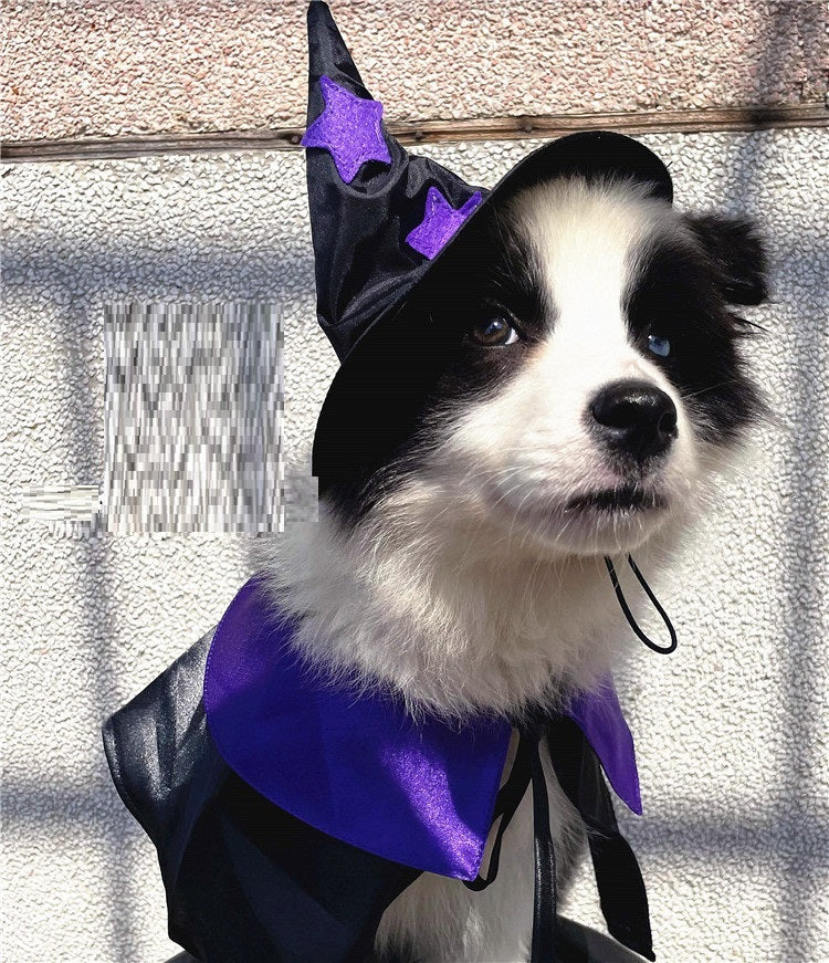 Ensemble de décoration pour déguisement de magicien d'Halloween pour animaux de compagnie