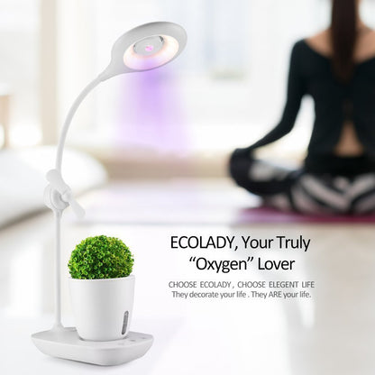 Boîte de croissance de plantes intelligente avec lampe de table