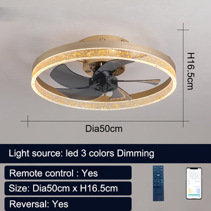 Remote Control Nordic Ceiling Fan Lamp Restaurant 110V