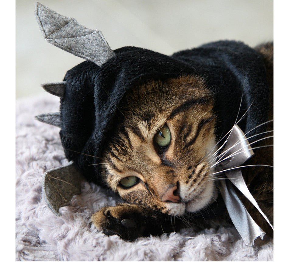 Cape à capuche super mignonne avec petites ailes de chauve-souris d'Halloween