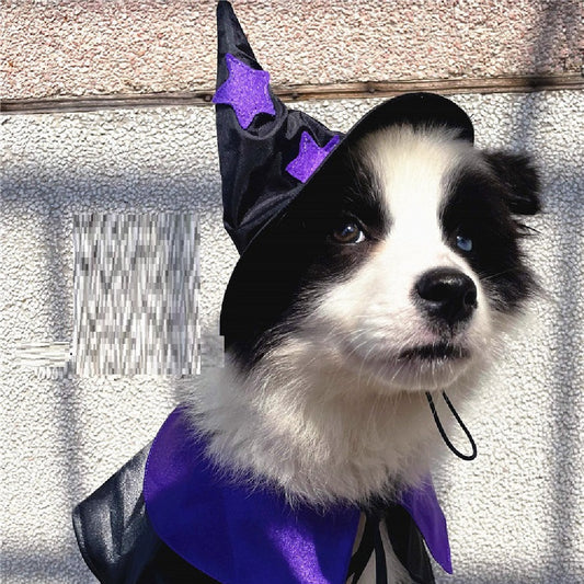 Ensemble de décoration pour déguisement de magicien d'Halloween pour animaux de compagnie