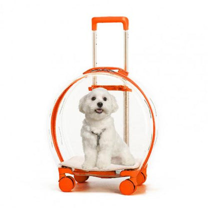 Caja transparente con carrito para perros y mascotas con caca