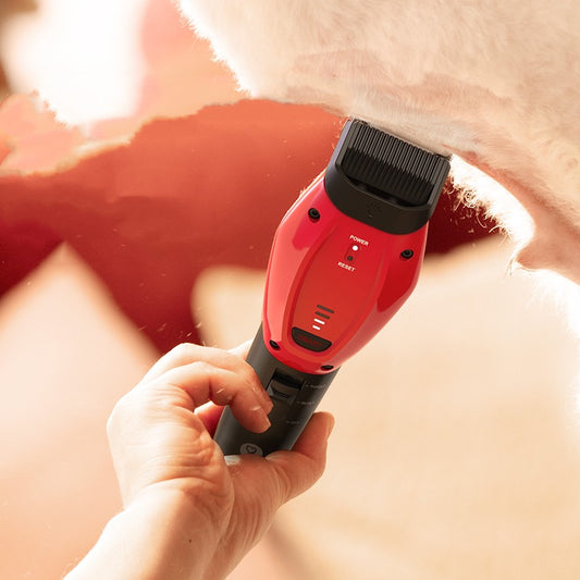 Tijeras de empuje eléctricas de alta potencia para peluquería y peluquería de gatos domésticos