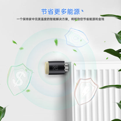 Graffiti Wifi Thermostatic Valve Mobile App Remote Control Smart Temperature Controller