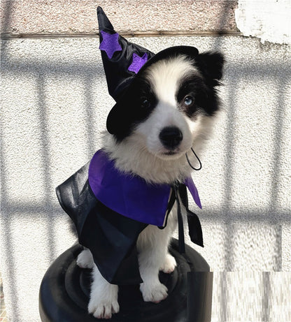 Conjunto de decoración de disfraces de mago de Halloween para mascotas