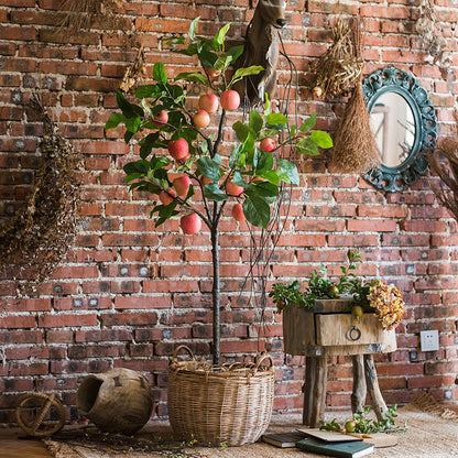 Decoración del suelo de la mesa.