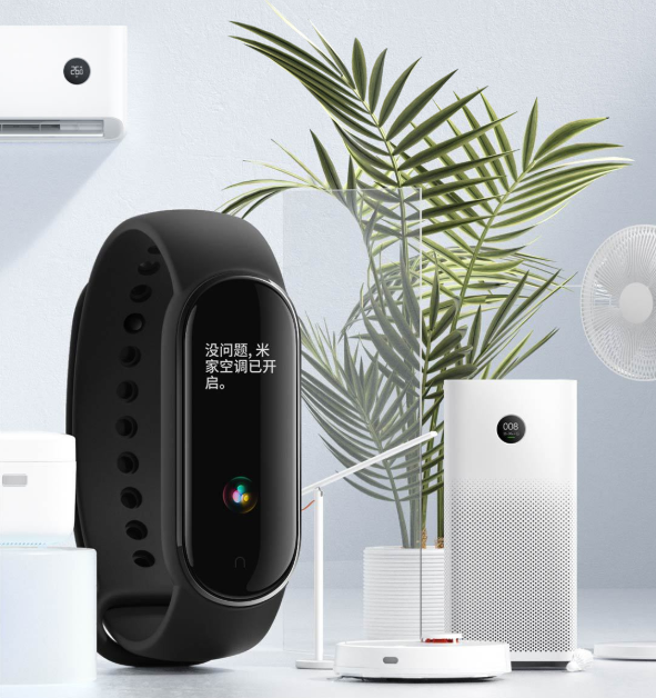 Mijia Mi Band 5