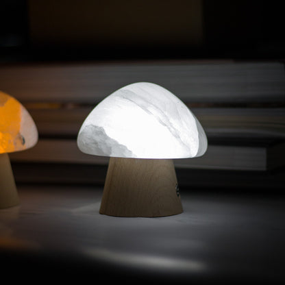 Lampe de nuit créative en minerai de champignon