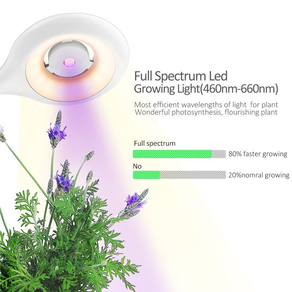 Boîte de croissance de plantes intelligente avec lampe de table