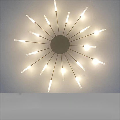 Ceiling Room Lights With Special Iron Decoration