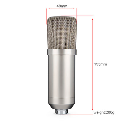 Condenser MicrophoneLarge Diaphragm Condenser Microphone