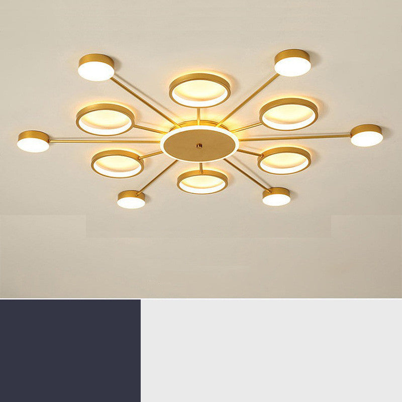 New Modern Simple Ceiling Light