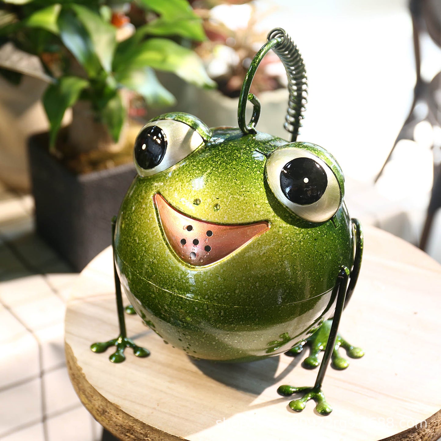 Creative Cartoon Iron Frog Watering Pot Creative Home Decoration