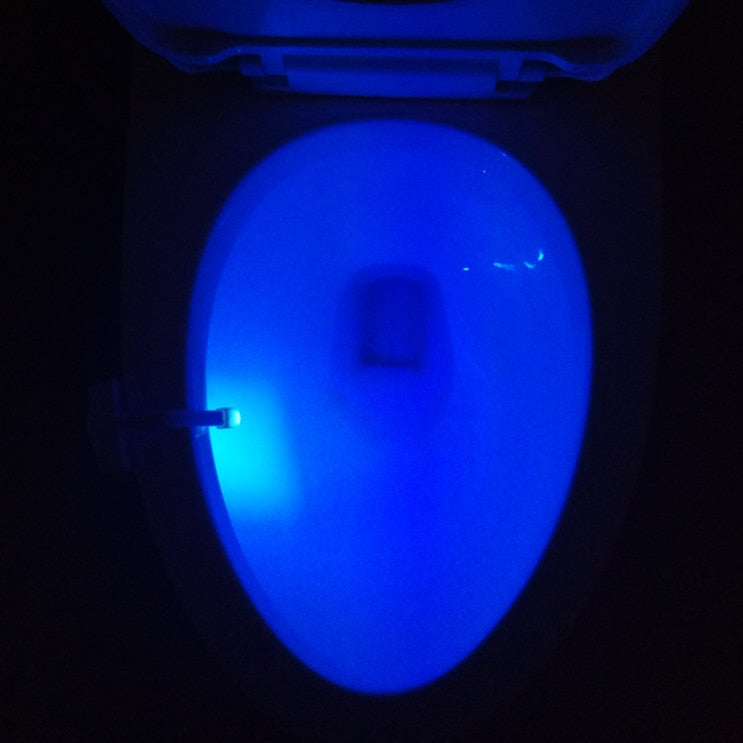 Toilet Induction LED Night Light