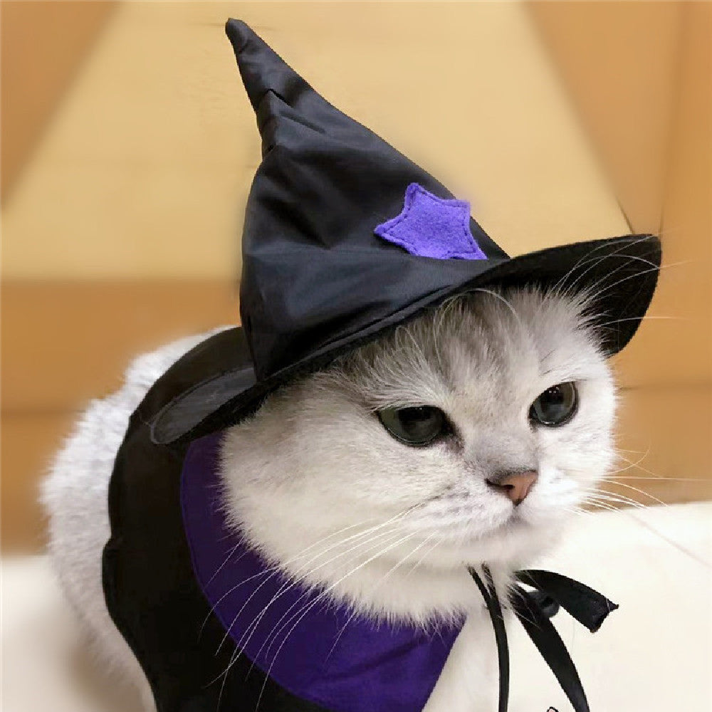 Pet Halloween Wizard Dressup Decoration Set