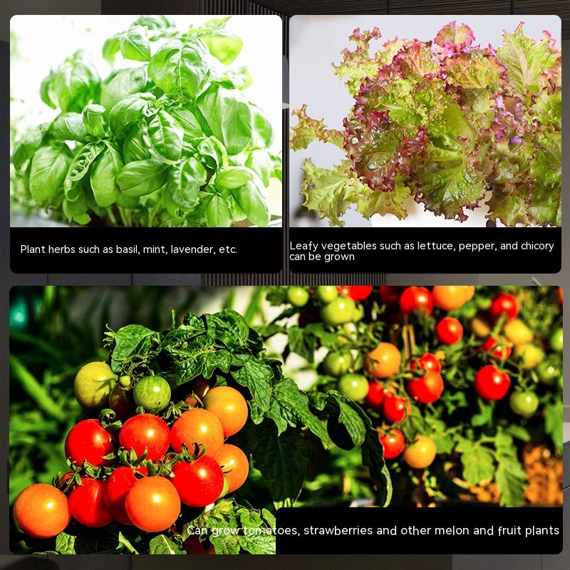 Intelligent Vegetable Planter Indoor Soilless Cultivation